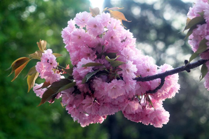 Автор фото: Anna Semeniuk, IGotoWorld Photo Group