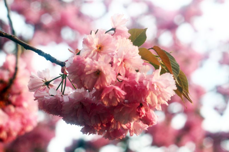 Автор фото: Anna Semeniuk, IGotoWorld Photo Group