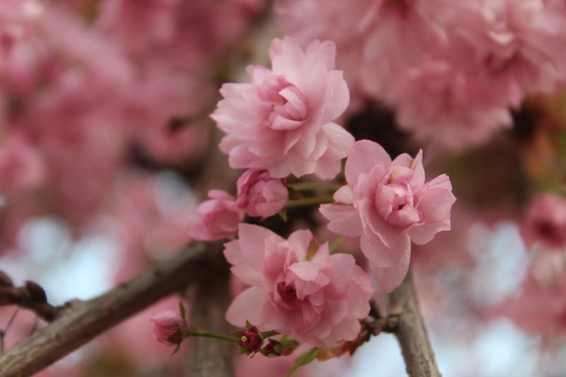 Автор фото: Anna Semeniuk, IGotoWorld Photo Group