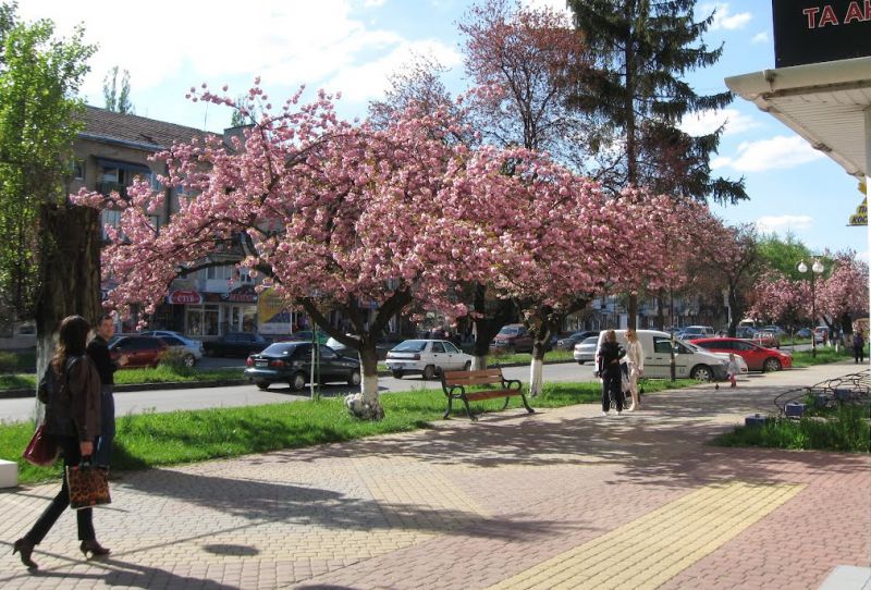 Джерело фото: kartagoroda