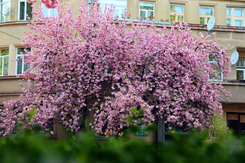 Автор фото: Anna Semeniuk, IGotoWorld Photo Group