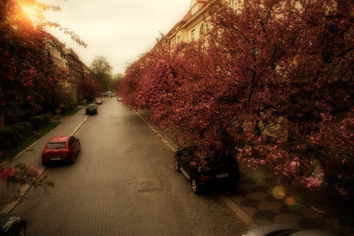 Джерело фото: galagov