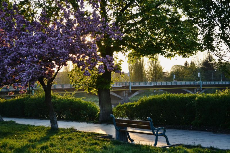 Джерело фото: blogspot