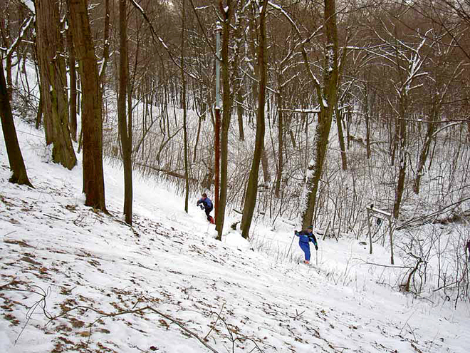 Рильського