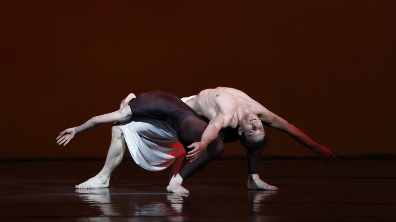 Мета фестивалю - підтримка молодих хореографів і розвиток творчих тенденцій в сучасному балетному мистецтві