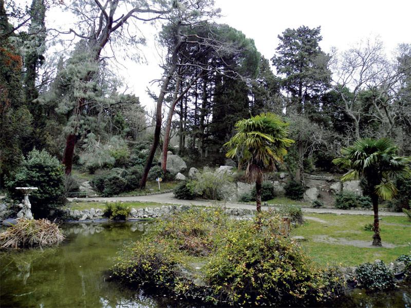 Про рослинах      На території парку ростуть: ялівець китайський золотистий, туя західна, секвойядендрон, тис ягідний багатостовбурний, ялівець китайський, сосна Сабіна, сосна брутская, сосна італійська, калацедрус, бамбук, кипарис Арізона, пальма трахикарпус Форчун, калина-бульдонеж, айва японська, спірея японська , мушмула, платан, гранат декоративний, Фотинія китайська біло-облямована, кедр атласький, ленкаранская альбіція, розмарин лікарський, ялиця іспанська, юка мексиканська, безсоромниця (суничник) дрібноплідний, іудине дере  во (церцис), кипарис вічнозелений пірамідальний, самшит Балеарський, плющ кримський, сосна Культера, бересклет, лох колючий і сріблястий, кипарис лузітанскій і Макнаб, кедр гімалайський, кедр атласький сріблястий, фісташка туполиста