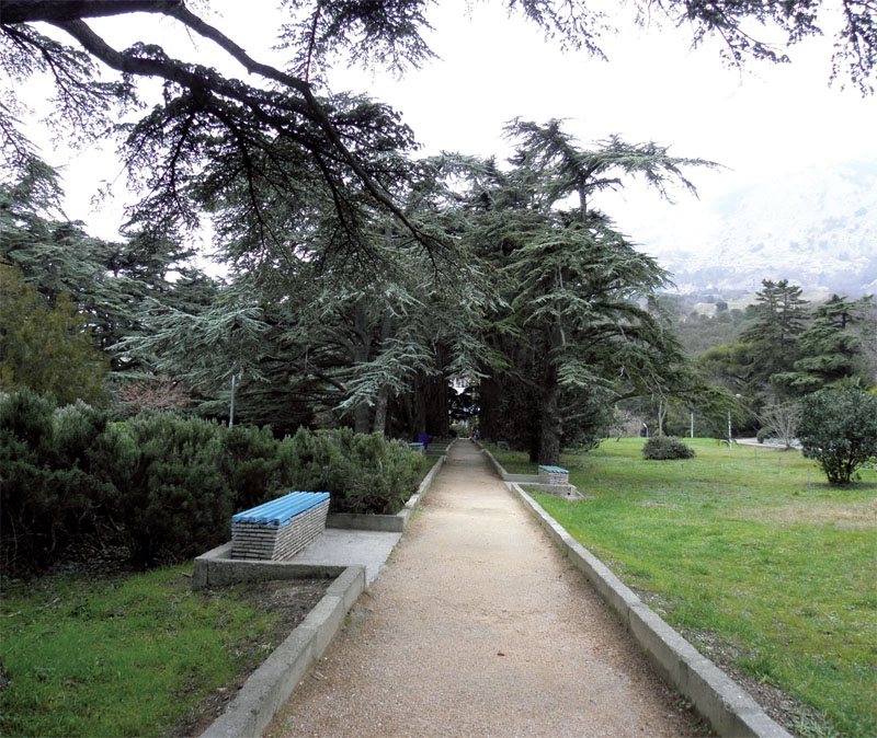 особливості ландшафту      Унікальна структура парку, продумана Кузнєцовим, незважаючи на паркани, збереглася до наших днів