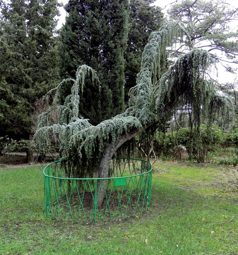 особняк      Нижня частина парку оформлялася в канонах, близьких до регулярної класиці з архітектурною домінантою: двоповерховим особняком Кузнєцова, побудованим в 1889 р в стилі російського класицизму