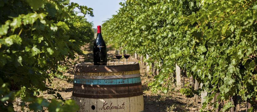 Фестиваль молодого вина в цьому році буде тривати до 28 вересня