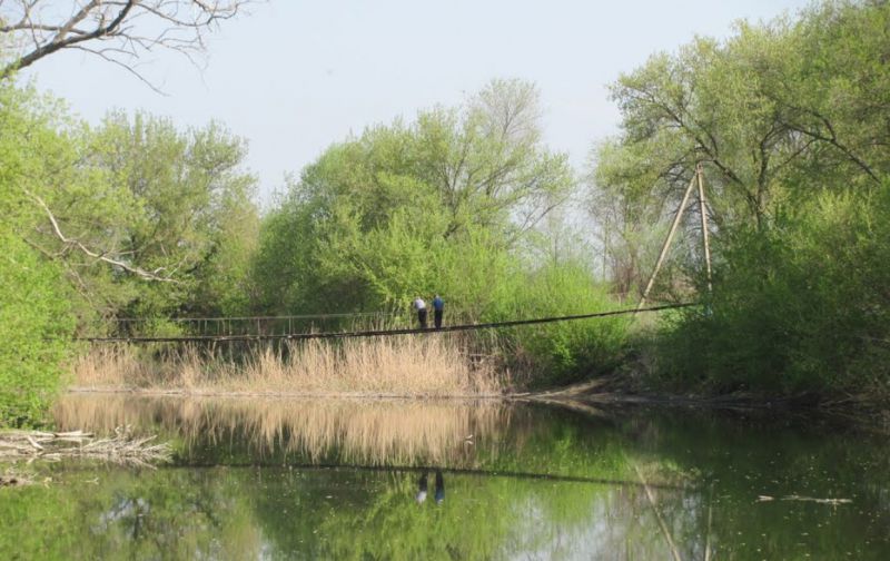 Джерело фото: pryroda