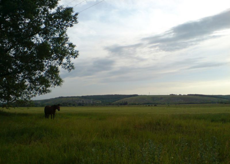 Джерело фото: panoramio