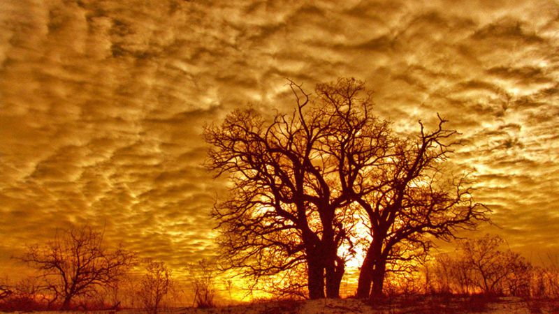 Джерело фото: discoverkherson