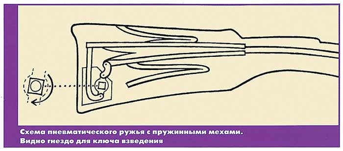 Іншим типом пневматичної зброї того часу були рушниці з повітродувних хутром - такий компресор був більш звичний, ніж поршневий
