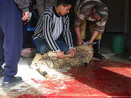 »Перш ніж барана ріжуть, його обов'язково валять на землю головою в бік   Мекки