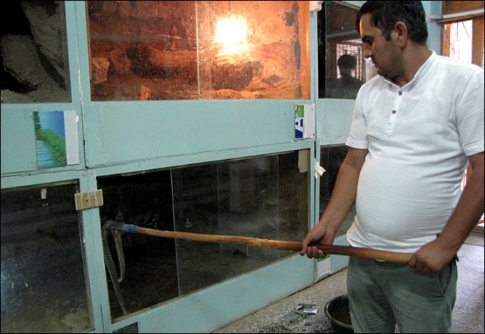 Тут він проходив аспірантуру і тут же в даний час готується до захисту кандидатської дисертації