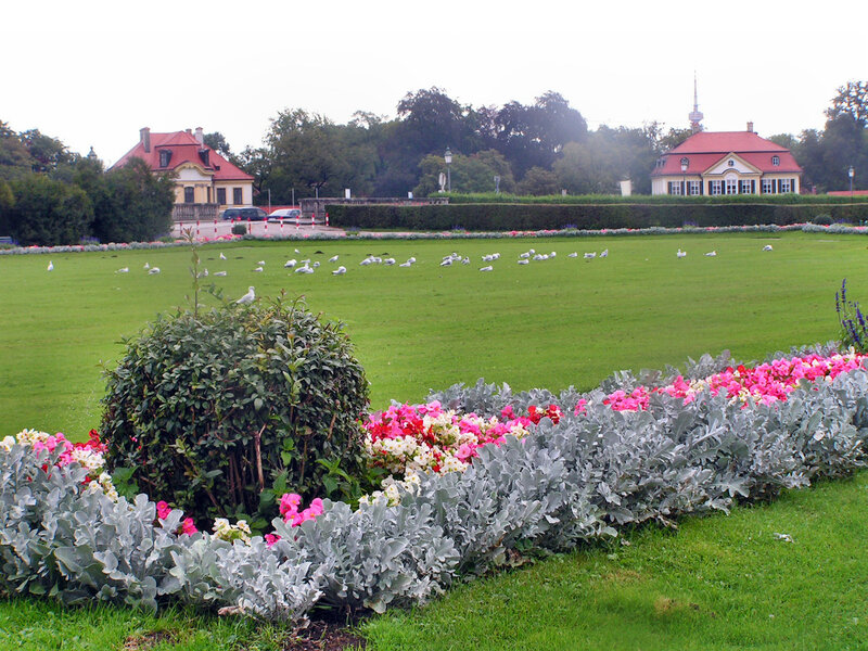 На берегах каналу і в парку перед палацом сплять або відпочивають сидячи численні птиці різних видів (зокрема, лебеді):