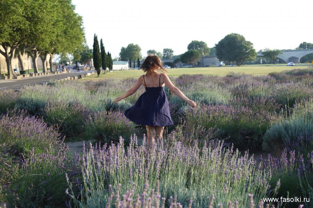 Якщо часу на відвідування лавандових ферм не залишиться, то можна зробити пару вдалих кадрів, не виїжджаючи за межі міста