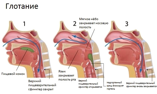 Якщо шматочок частково перекриває дихання, потрібно бути вкрай обережним і простежити, щоб дихальне горло не виявилося перекрито повністю