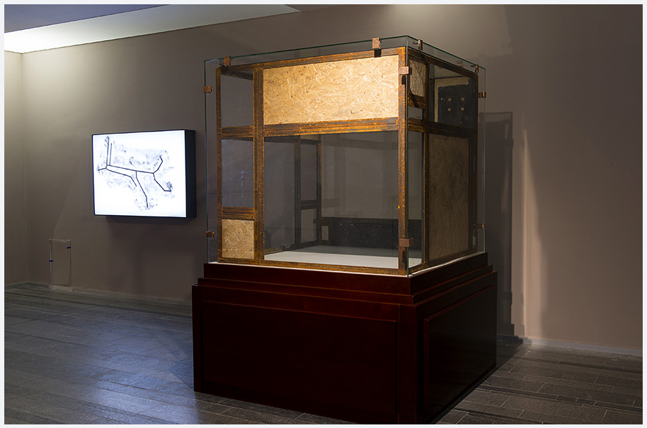 Фасад стає, в деякому сенсі, історичним колажем і місцем зіткнення ідеологій