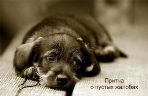 Одного разу чоловік йшов повз якогось будинку і побачив стареньку в кріслі-гойдалці, поруч з нею гойдався в кріслі дідок, який читає газету, а між ними на ганку лежала собака і скиглив, як ніби-то від болю