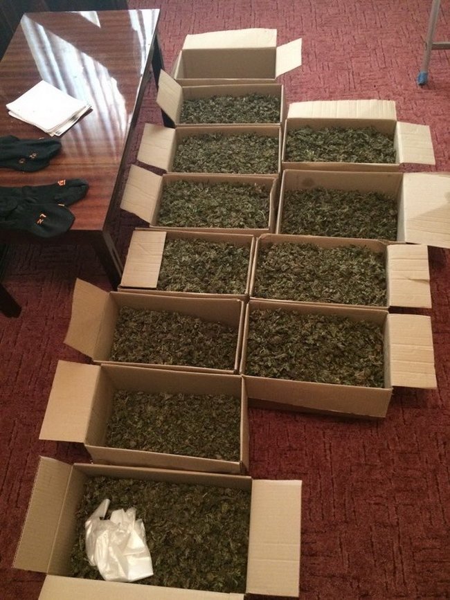 Операція з викриття зловмисників проводилася спільно з Національною поліцією