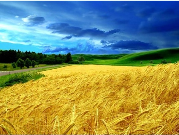 Що ж, до китайським вченням можна ставитися як завгодно, але щось в цьому є, погодьтеся