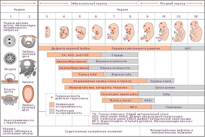 Підкаже, коли варто хвилюватися і консультуватися з лікарем, а на які ознаки не варто звертати уваги і переживати