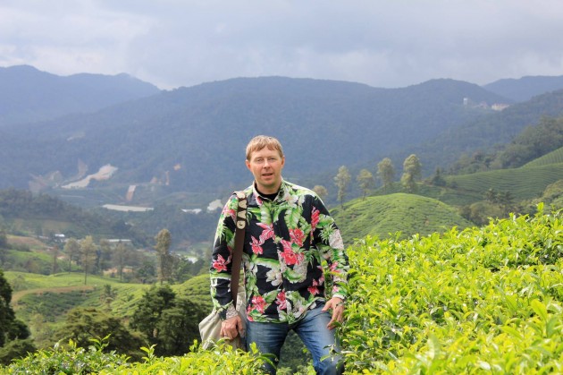 Ви сховалися пледом, включили улюблений фільм або серіал і взяли кухоль гарячого чаю