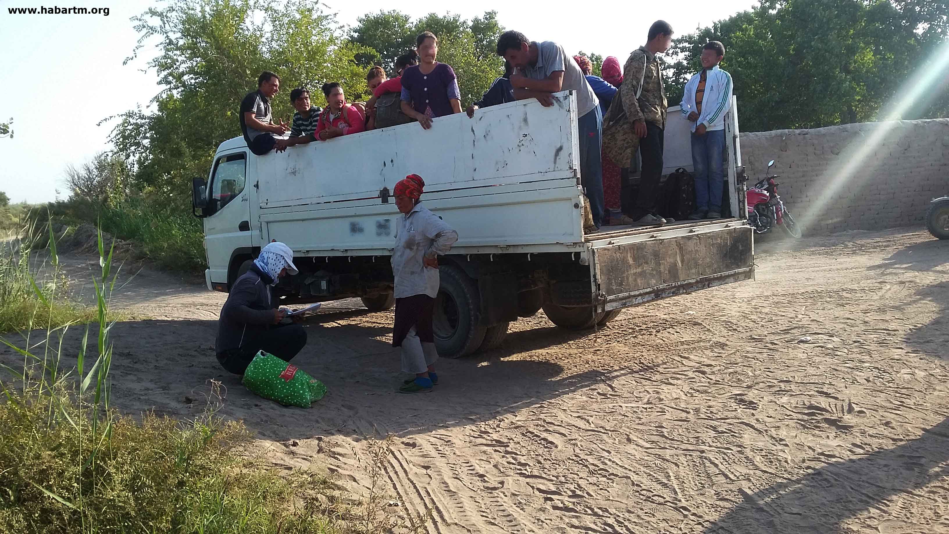 У Туркменії традиція знайшла новий масштаб: держава щоосені   відправляє на прибирання бавовни   під загрозою звільнення і відрахування тисячі співробітників держустанов,   військових   , Студентів і навіть, як стверджують правозахисники,   школярів