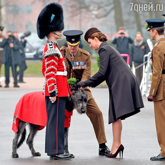 Кейт Міддлтон