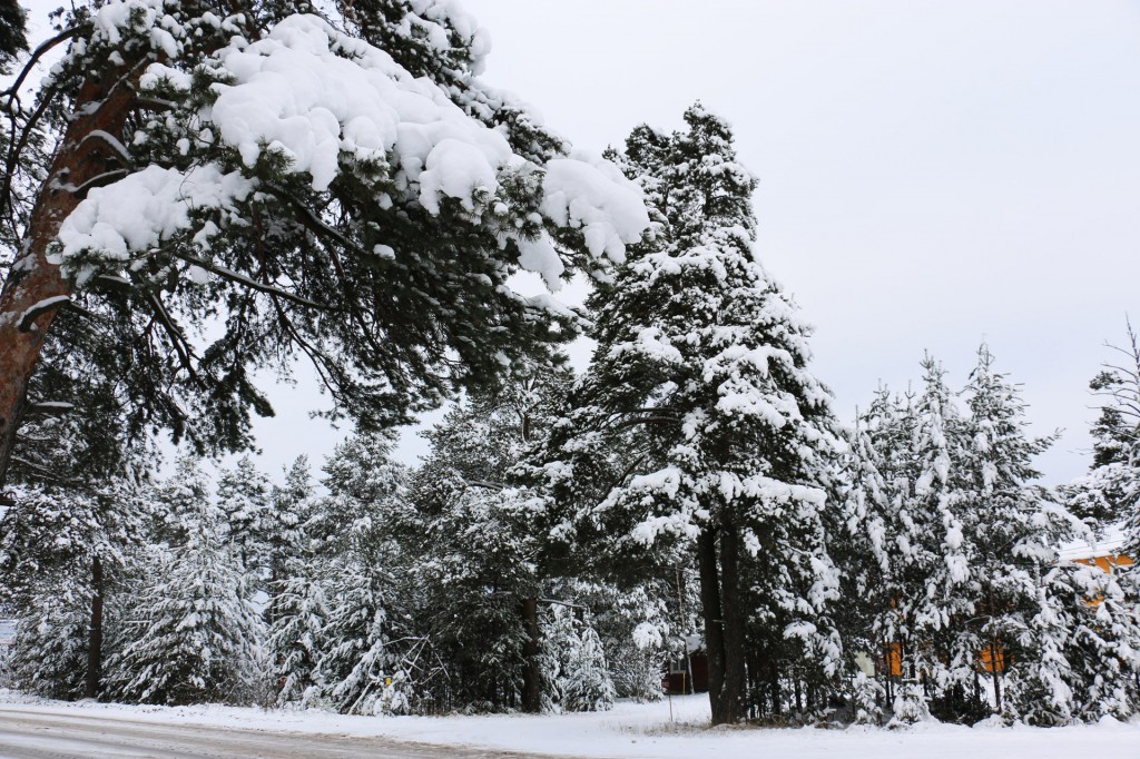 Ось така вона дорога в казку
