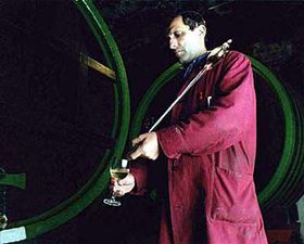 Фото: ЧТК   Як стають виноробами