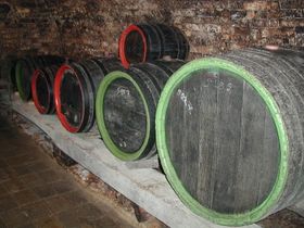 Напевно у Вацлава Майера, якому вдається в прохолодному моравському кліматі створювати вина, за смаком нагадують і чилійські, і південно-африканські, і навіть французькі чи італійські, є секрети з виготовлення вина