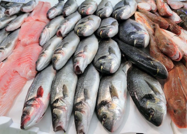 Марія Ложкіна