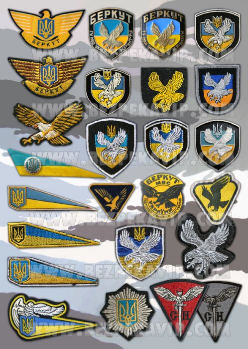 Беретние нашивки «Беркута»