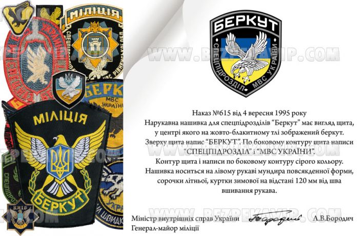 Єдина нашивка для підрозділів «Беркут» для носіння на лівому рукаві уніформи була затверджена в 1995 році