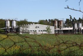 Свиноферма на місці концтабору в літах, Фото: Яна Шустова   Рух SPD - «Свобода і пряма демократія», яке політологи відносять до правого спектру, чи не вперше ставить під сумнів циганський Голокост