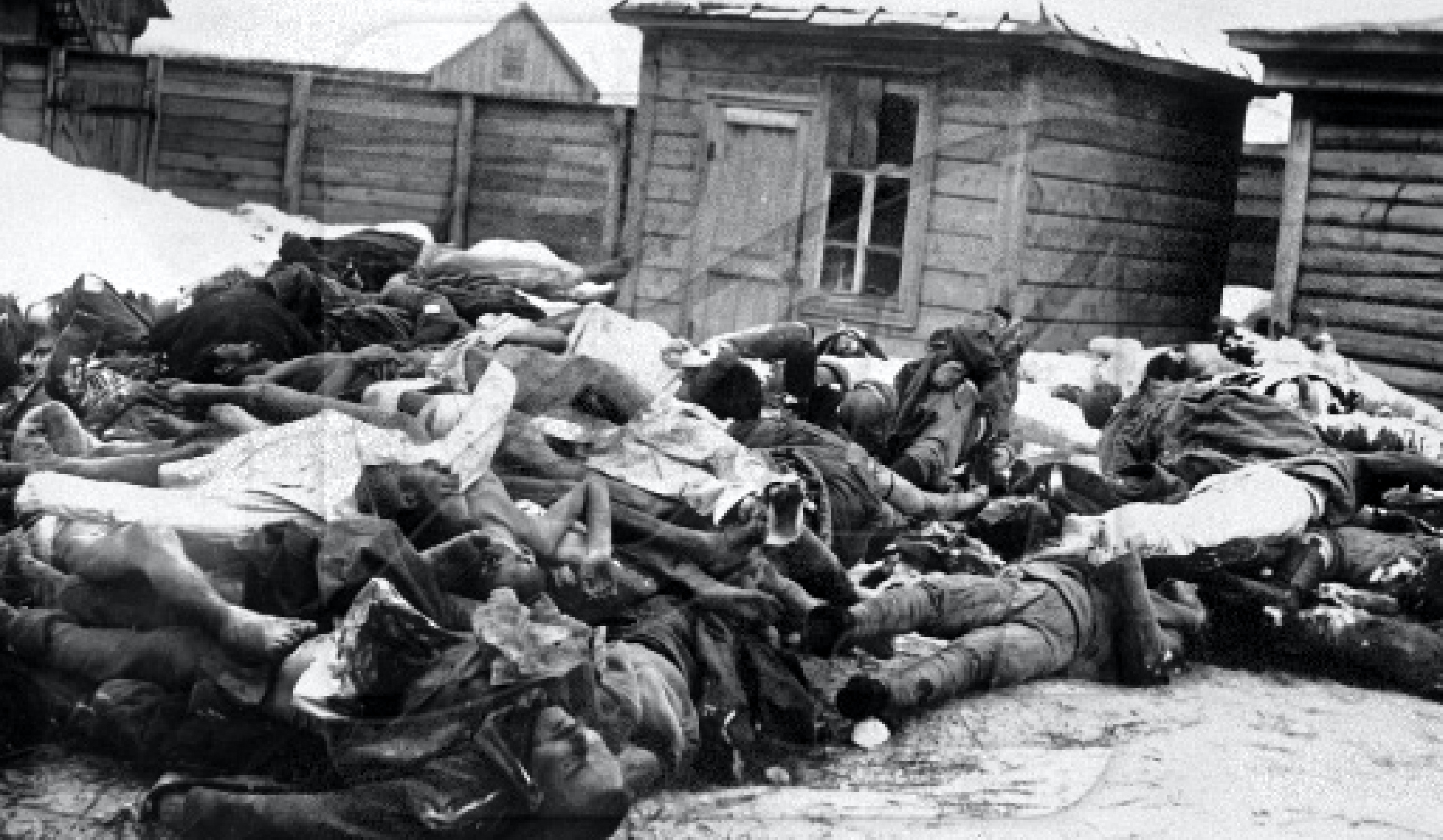 Тіла робітників і селян, розстріляних колчаківцями