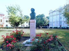 Бюст Франтішека Раша на площі Пршерове, фото: Palickap, CC BY-SA 4