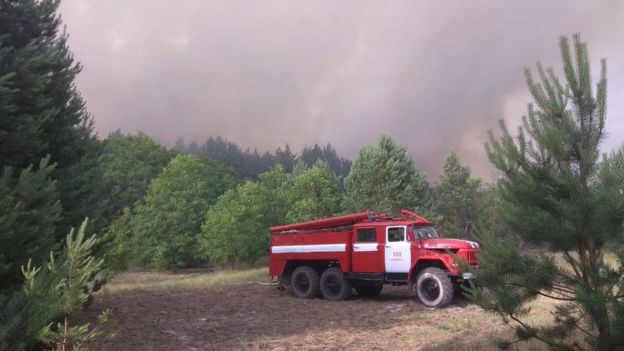 У вівторок вранці в 10-кілометровій Чорнобильській зоні відчуження загорівся ліс площею близько 10 гектарів