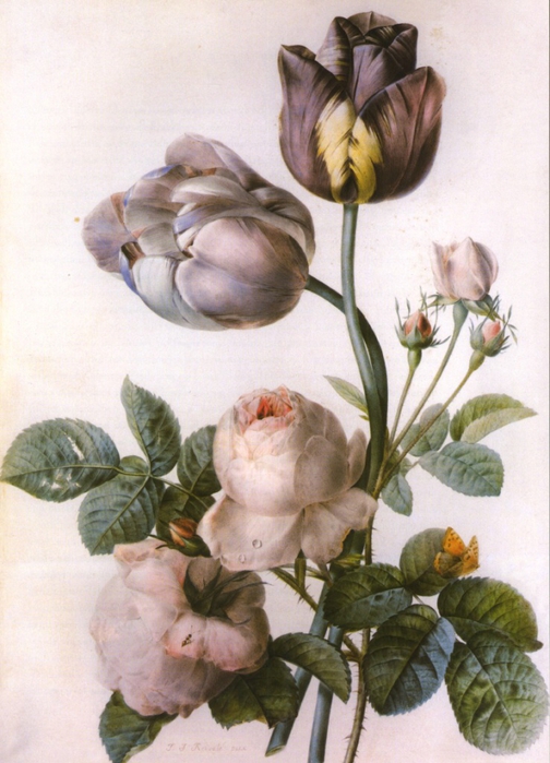 Редуті П'єр-Жозеф (1759 року - 1840), бельгійський художник