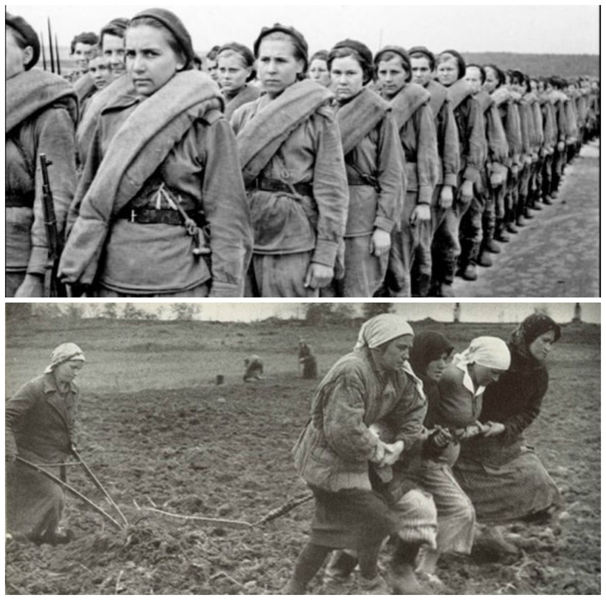 У 1930-50-х святкування 8 Марта перетворюється в огляд досягнень радянських жінок, які на рівних беруть участь в індустріалізації, обороні і післявоєнній відбудові Союзу