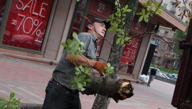Наслідки грози на Хрещатику / Фото: Бородаєва Інна