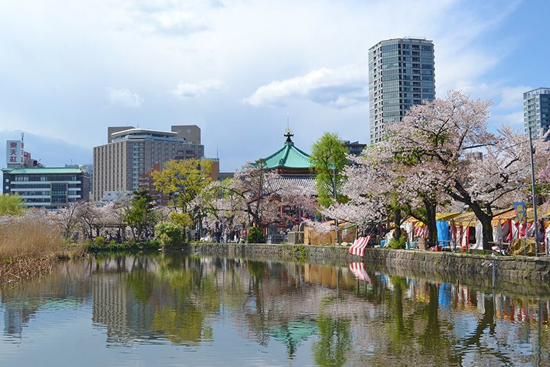 Парк Уено в Токіо під час милування сакурою