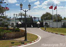 Можливо, що до влади прийдуть адекватні люди, здатні працювати на благо країни, але велика і ймовірність того, що переможці демократичних виборів дадуть привід до того, що і Бен Алі, і його епоха будуть сприйматися як золотий вік, як зараз бачиться епоха першого президента Тунісу Хабіба Бургиба