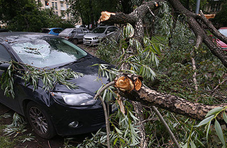Штормовий вітер зносив дахи і виривав дерева з корінням, які падали на автомобілі