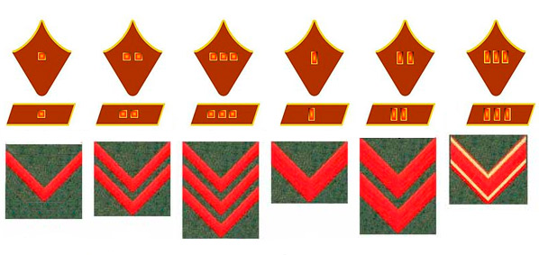 Додатковими знаками відмінності за званням середнього і старшого командного складу були шеврони з червоного басону (тасьми), які носилися на обох рукавах вище манжети, рукава на всіх видах одягу