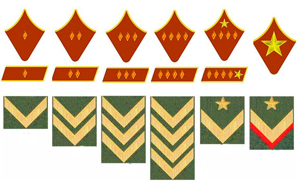 Додатковими знаками відмінності вищого командного складу були шеврони з золотого галуну, нашивали на обидва рукави вище рукава на всі види обмундирування