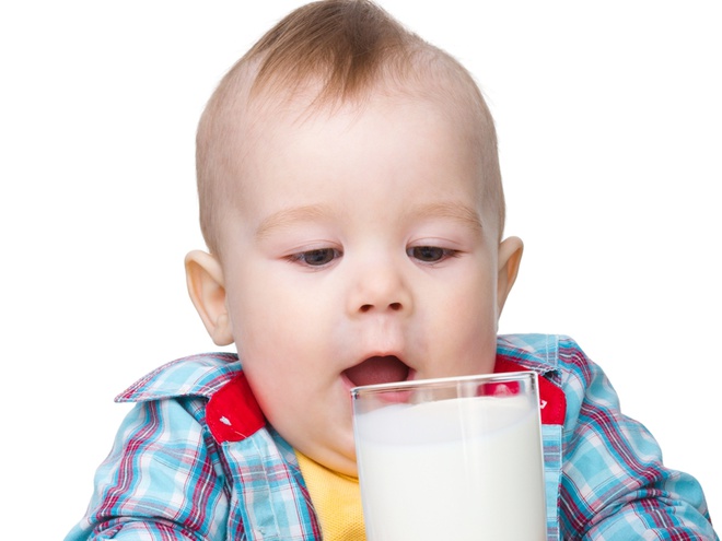 Основна проблема, пов'язана з вживанням коров'ячого молока, полягає в його впливі на формування кісток