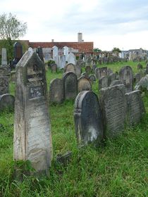 Єврейське кладовище у Голешові (Фото: Jitka Erbenová, CC BY-SA 3